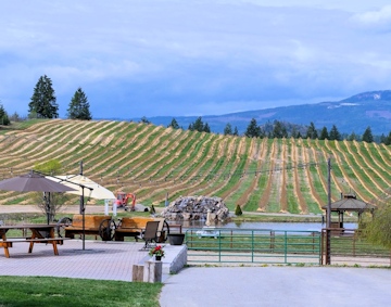 Baccata Ridge Winery 